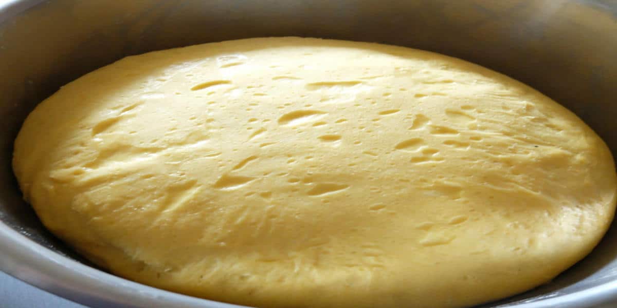 Pâte à Brioche PARFAITE