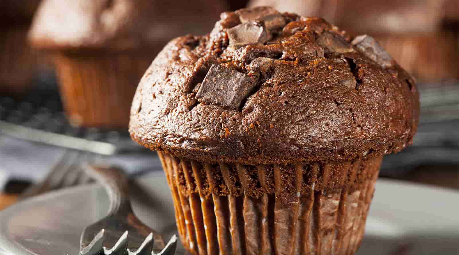 Muffins légers au cacao