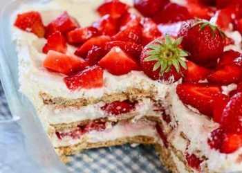 Gâteau glacé aux fraises sans cuisson