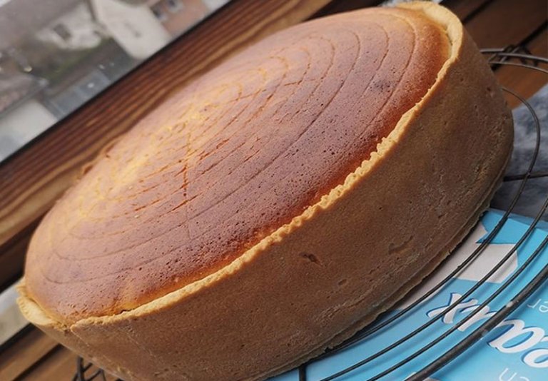 Gâteau au fromage blanc