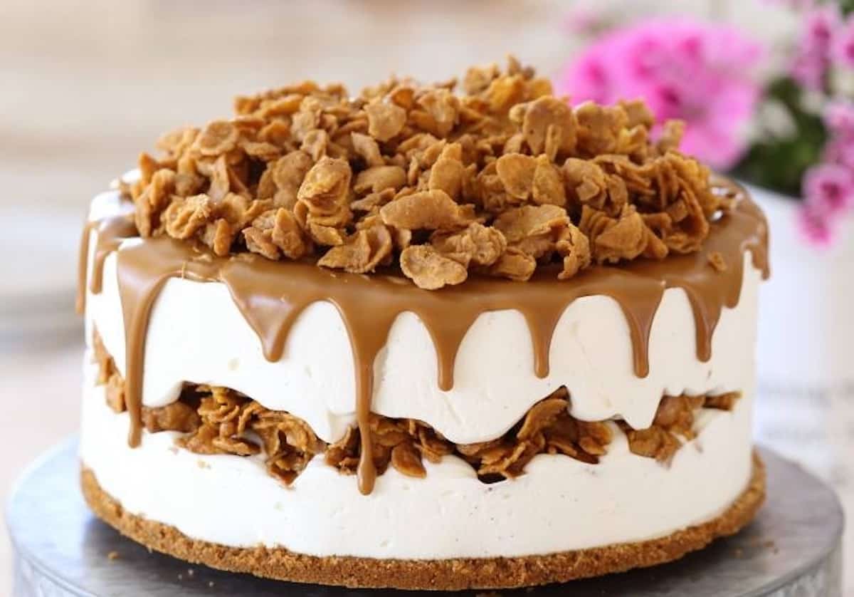 Gâteau fraîcheur glacé au mascarpone et spéculoos
