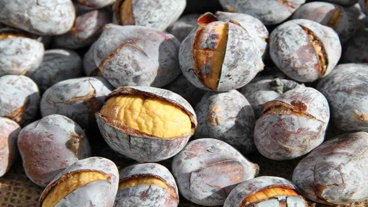marrons