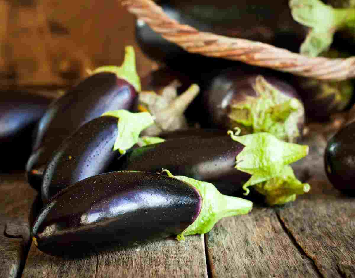 Comment conserver l'aubergine