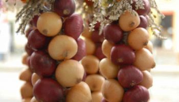 Comment conserver les oignons à la maison