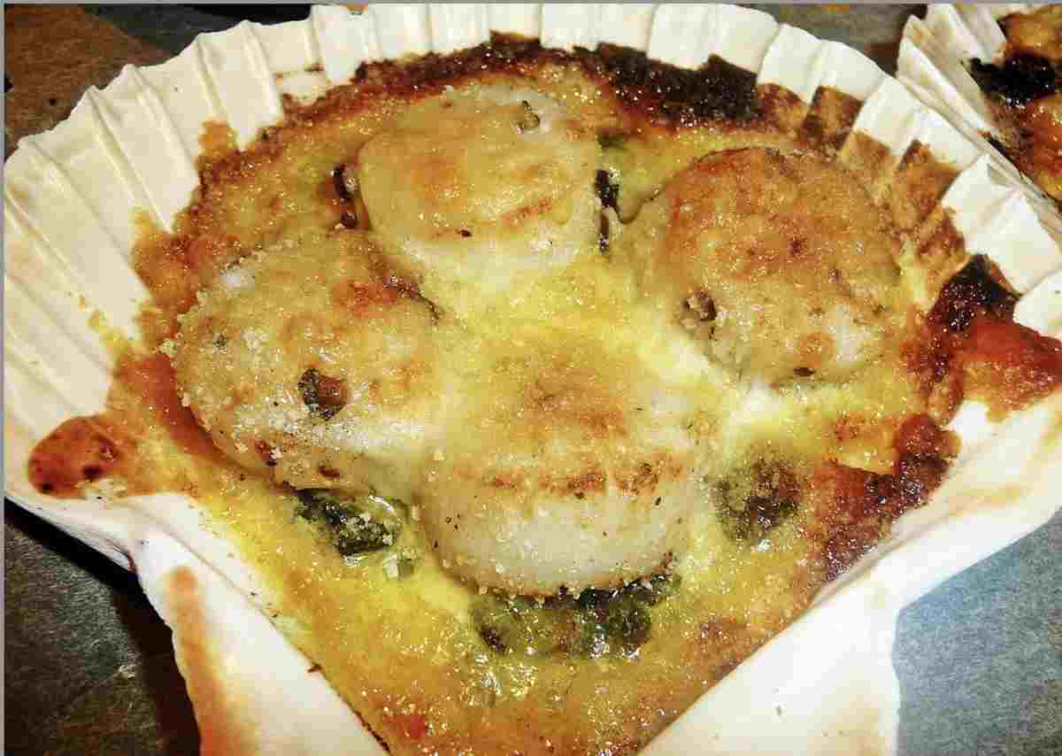 Coquilles St Jacques gratinées