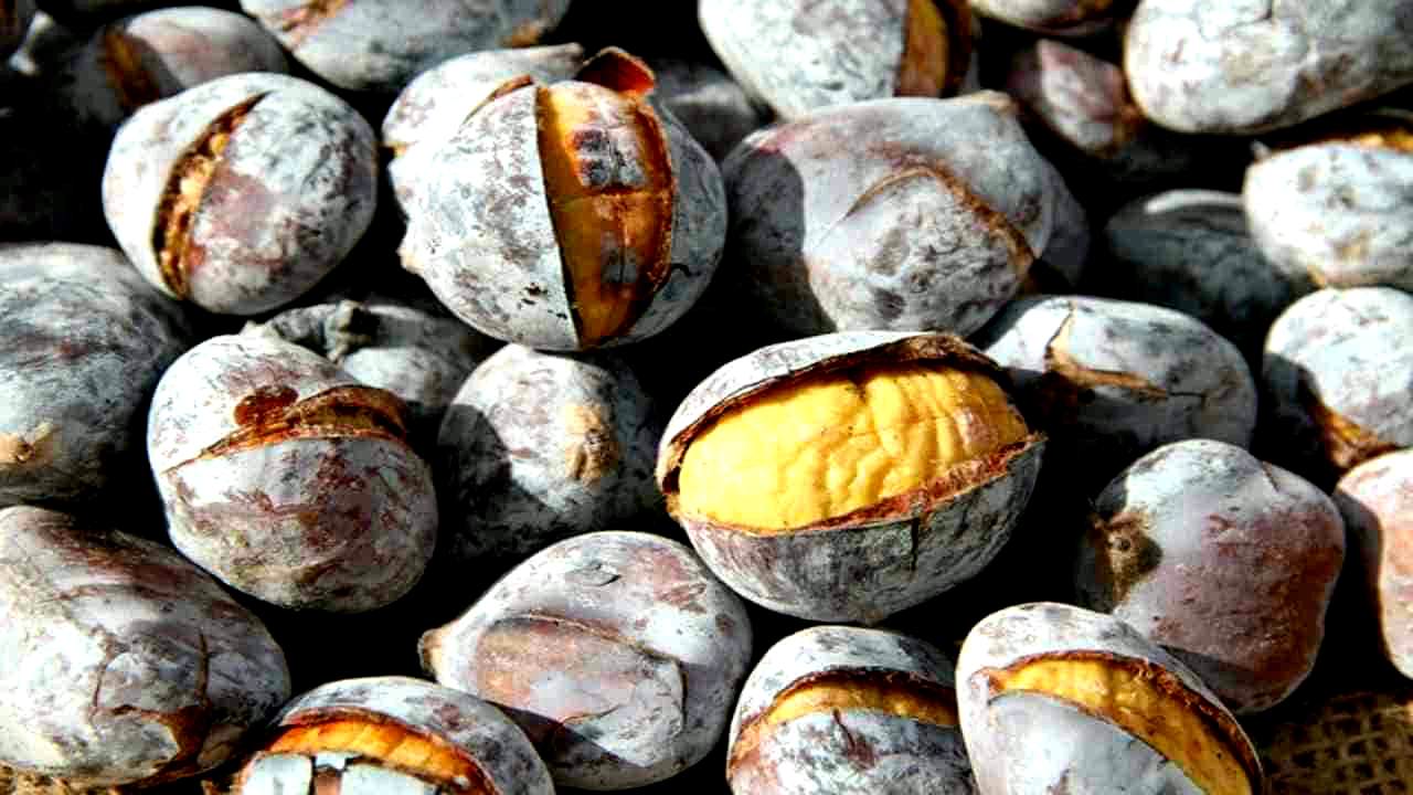 marrons moelleux