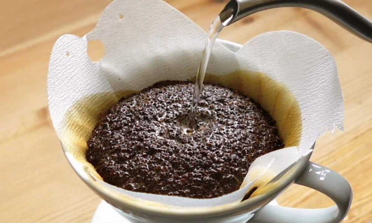 filtres à café